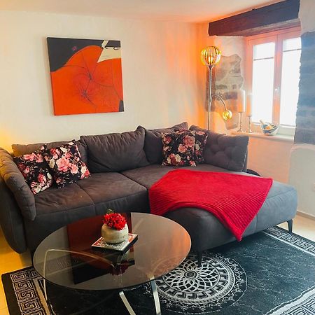 Luxus Domizil Appartement Villingen-Schwenningen Buitenkant foto